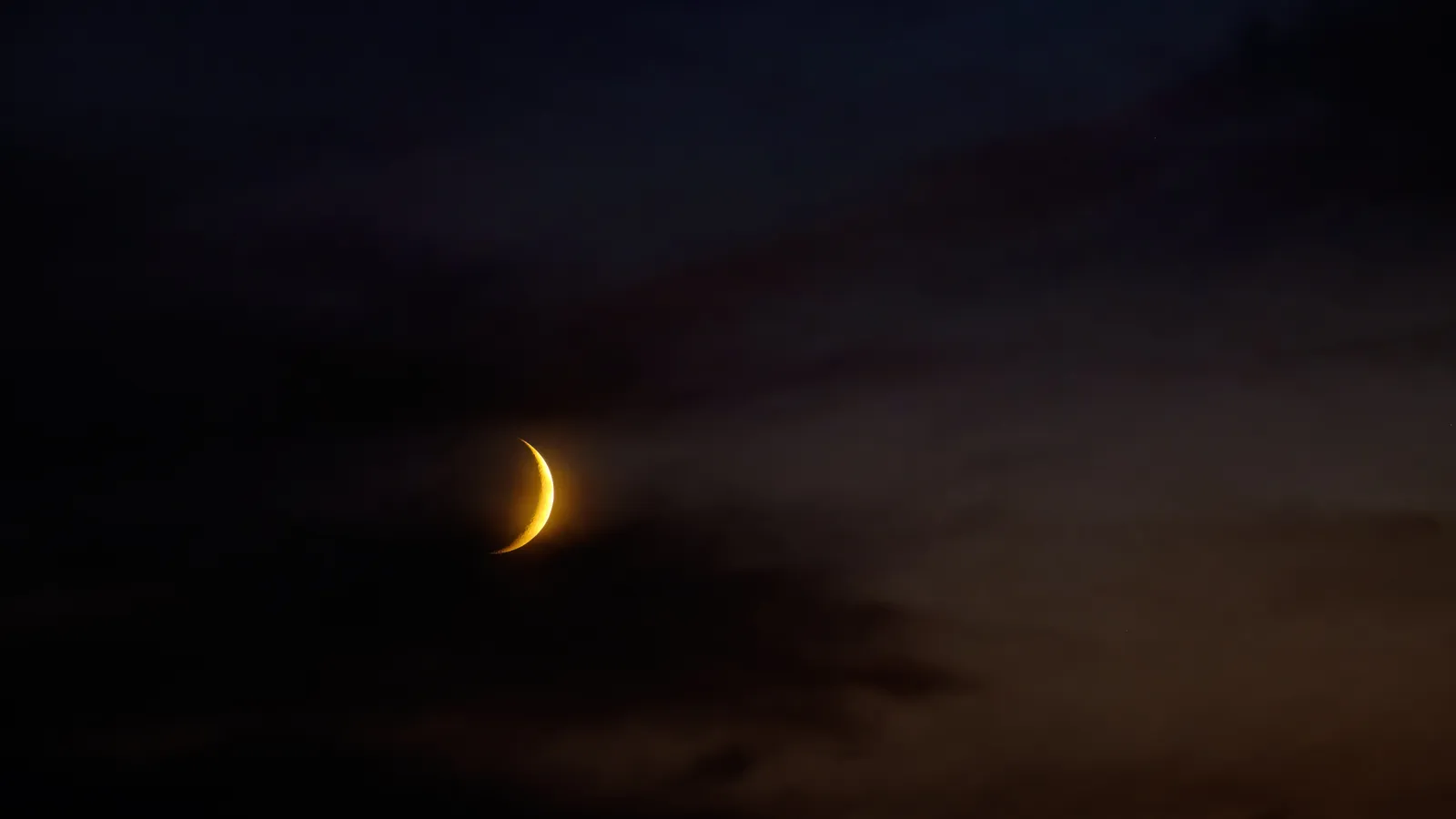 should i text my ex: Phone glowing under starry night sky beside zodiac chart